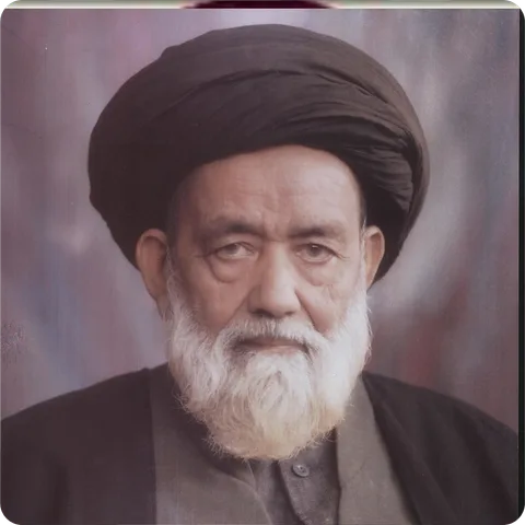 Syed Ali Naqi Naqvi